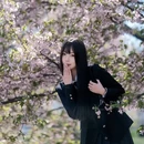 上海旅游 缩略图 4