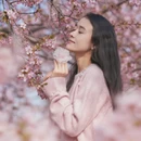 上海旅游 缩略图 1