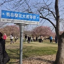 上海旅游 缩略图 3