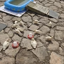 上海旅游 缩略图 9