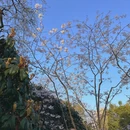 上海旅游 缩略图 4