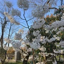 上海旅游 缩略图 5