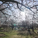 上海旅游 缩略图 9