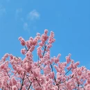 上海旅游 缩略图 6
