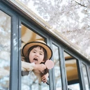上海旅游 缩略图 8