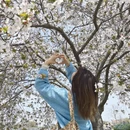 上海旅游 缩略图 2