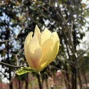 上海旅游 缩略图 5