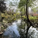 上海旅游 缩略图 4