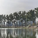 上海旅游 缩略图 1