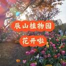 上海旅游 缩略图 1