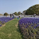 上海旅游 缩略图 4