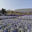 上海旅游 缩略图 5