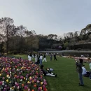 上海旅游 缩略图 8