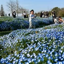 上海旅游 缩略图 3
