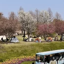 上海旅游 缩略图 9