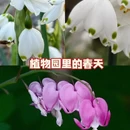 上海旅游 缩略图 5