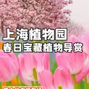上海旅游 缩略图 1