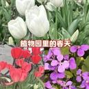 上海旅游 缩略图 4