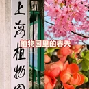 上海旅游 缩略图 3