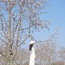 上海旅游 缩略图 2