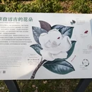 上海旅游 缩略图 11