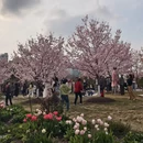 上海旅游 缩略图 17