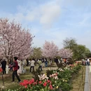 上海旅游 缩略图 18