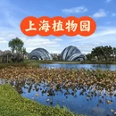 上海旅游 缩略图 1