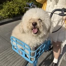上海旅游 缩略图 9
