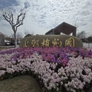 上海旅游 缩略图 1