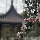 上海旅游 缩略图 2