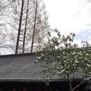上海旅游 缩略图 5