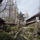 上海旅游 缩略图 8