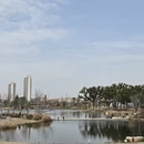 上海旅游 缩略图 11