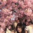 上海旅游 缩略图 4