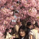 上海旅游 缩略图 5