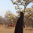 上海旅游 缩略图 6