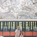 上海旅游 缩略图 1
