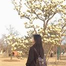 上海旅游 缩略图 7