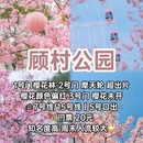 上海旅游 缩略图 2