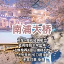 上海旅游 缩略图 8