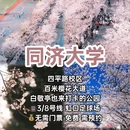 上海旅游 缩略图 6