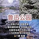 上海旅游 缩略图 5