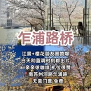 上海旅游 缩略图 9