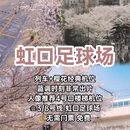 上海旅游 缩略图 7