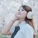 上海旅游 缩略图 8