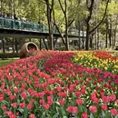 上海旅游 缩略图 5