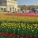 上海旅游 缩略图 4