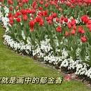 上海旅游 缩略图 5
