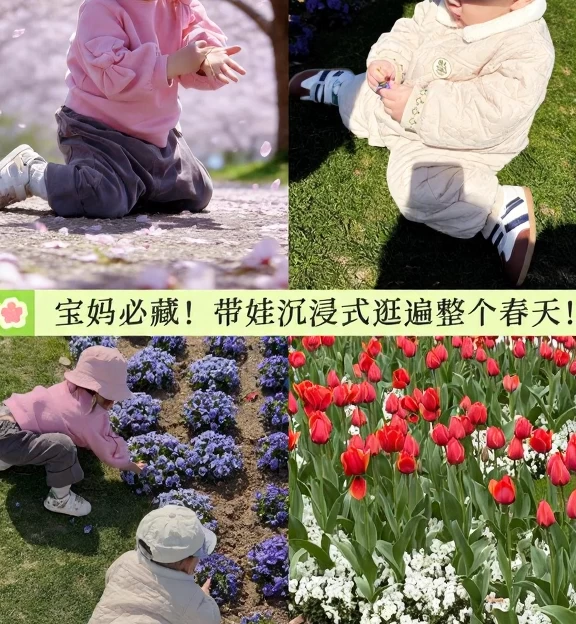 上海旅游 1